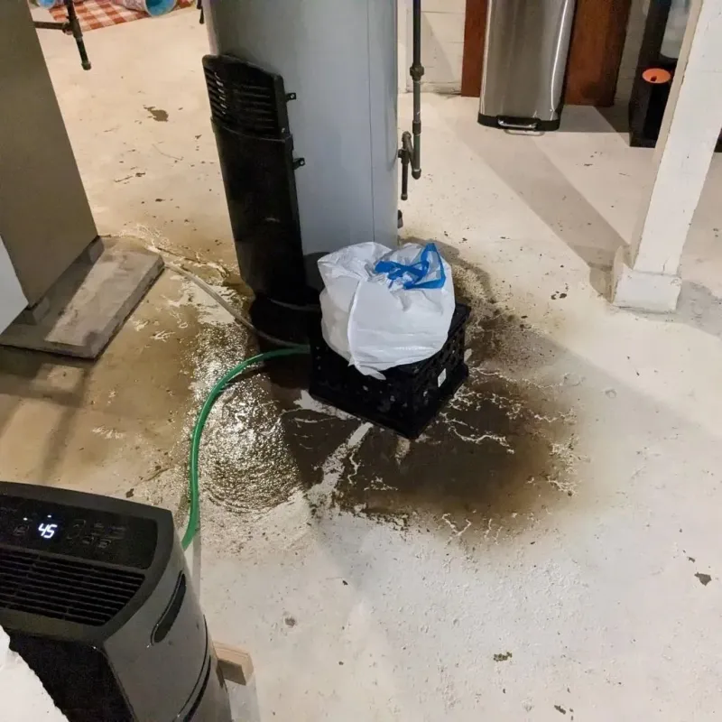 Sewage Backup Cleanup Service in Gerber, CA